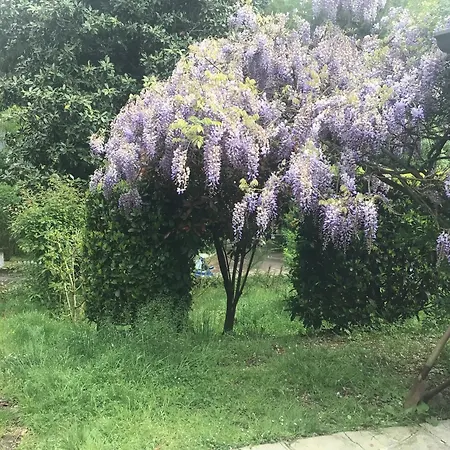 Nel House Di Rolando טורינו