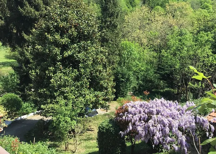 Nel House Di Rolando *