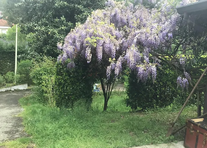 Nel House Di Rolando トリノ