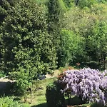 Nel House Di Rolando *
